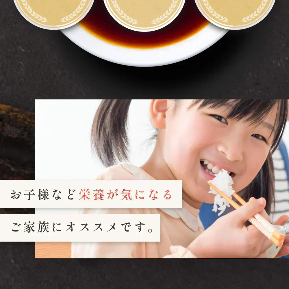 風土日和 宗田節 作るだし醤油 土佐清水 高知県産 40g 賞味期限：2025年7月30日 カウシェ限定  | オーガライフ