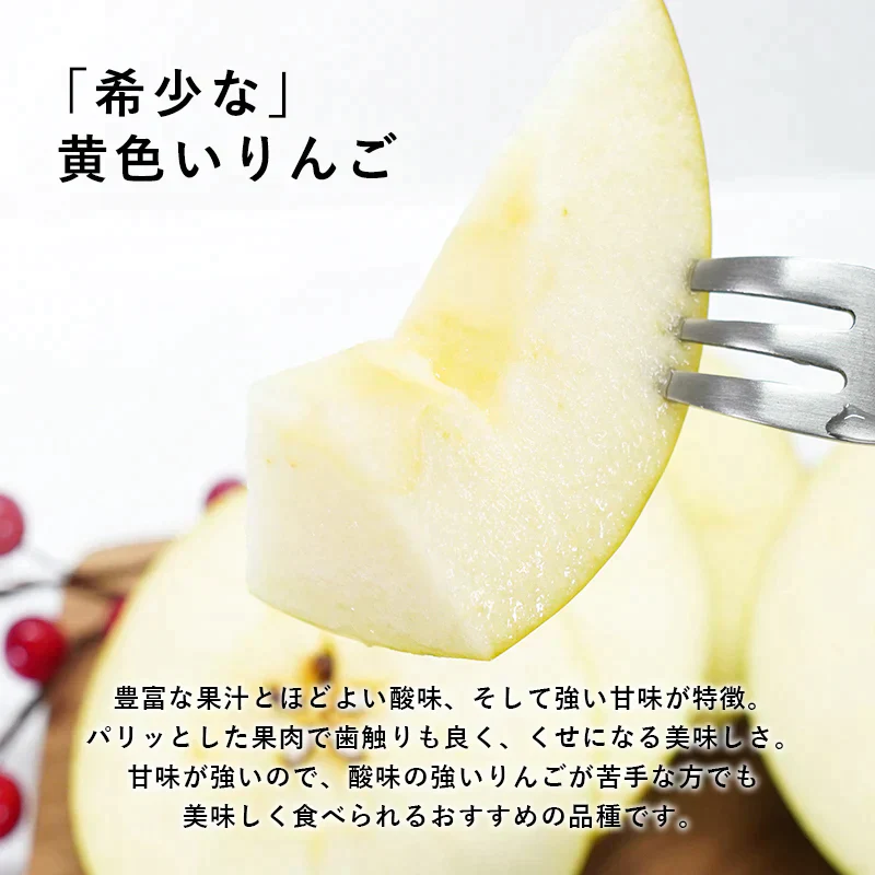 【予約受付中】青森県産 訳あり ぐんま名月 約3kg 数量限定! ※10月下旬頃からご予約順に発送予定※家庭用 青森 りんご 林檎 群馬名月 果物 フルーツ 送料無料 ks