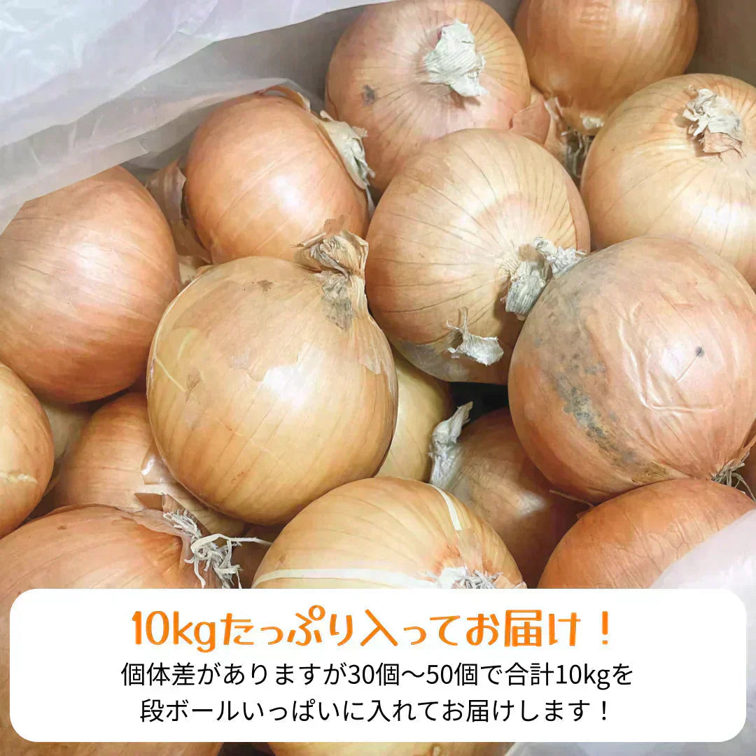【有名ホテル / 大手チェーン店も御用達！】つやつやたまねぎ 10kg 野菜 根菜 玉葱 玉ねぎ タマネギ サラダ
