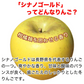 【2023年産予約開始！数量限定！】シナノゴールド 加工用 約4.5kg(7-16玉) パリっと歯ごたえジューシー 10月下旬頃発送開始予定 #YAG0K045