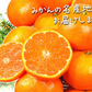 みかん　熊本産　おいしいみかん　1.5kg　サイズおまかせ　ご家庭用（発送予定：11月中旬より）