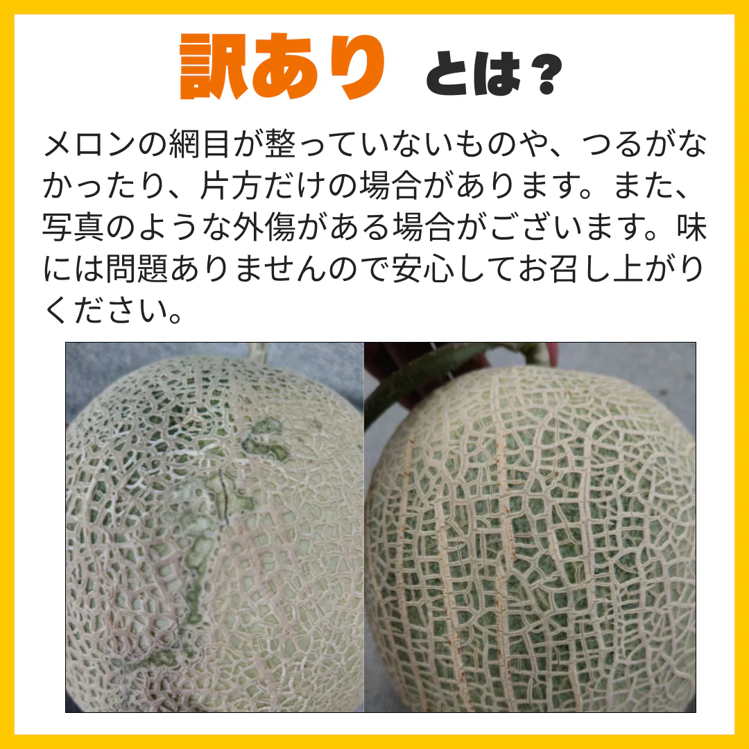 ＜数量限定＞【2玉入り】訳あり 富良野産赤肉メロン ｜ 中玉（1玉1.6kg以上） 送料無料【ゲリラセール】