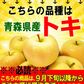 【即日発送】青森県産 りんご トキ 3kg箱 家庭用/訳あり ★トキ 家訳 3kg箱