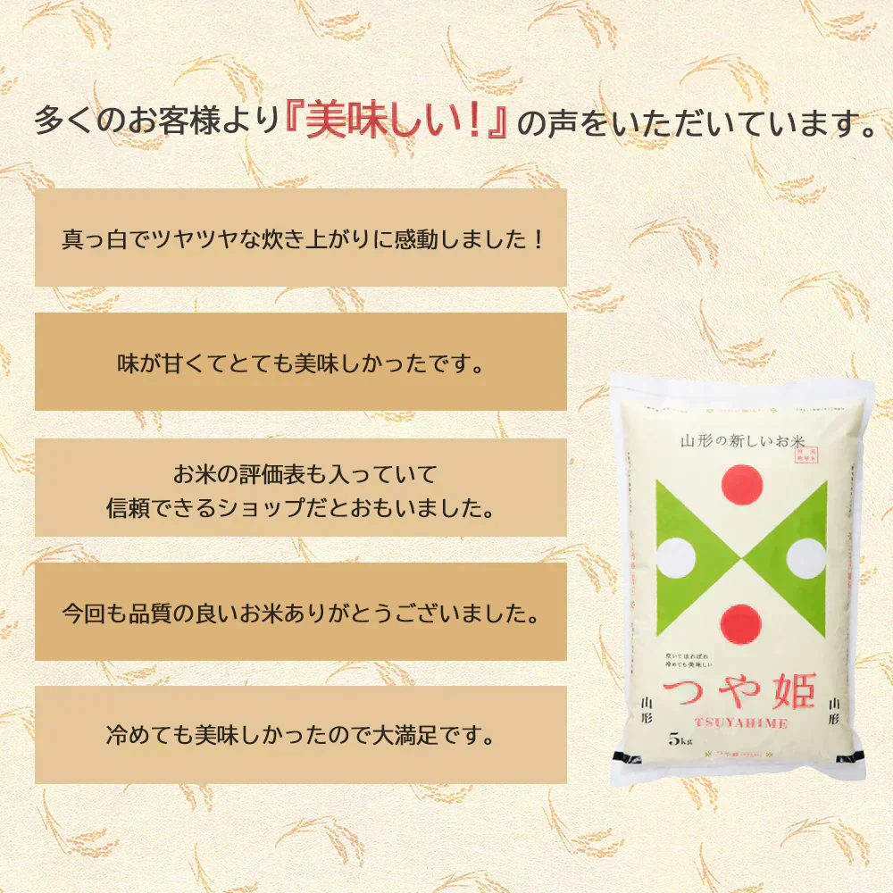 米 10kg つや姫  精米 山形県産 送料無料 ギフト 令和6年産 単一原料米 ブランド米 こめ コメ 白米 産地直送 kkb-003