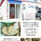 【在庫処分特価】北海道チーズケーキ 2個【賞味期限：2024年10月13日】