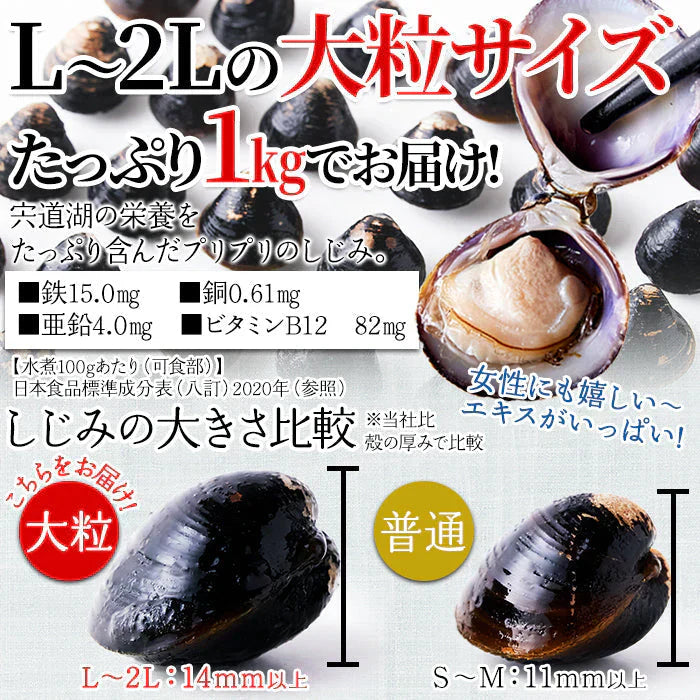 宍道湖産 大粒 しじみ 冷凍１kg獲れたてを急速冷凍！身が大きくてプリプリ！冷凍A