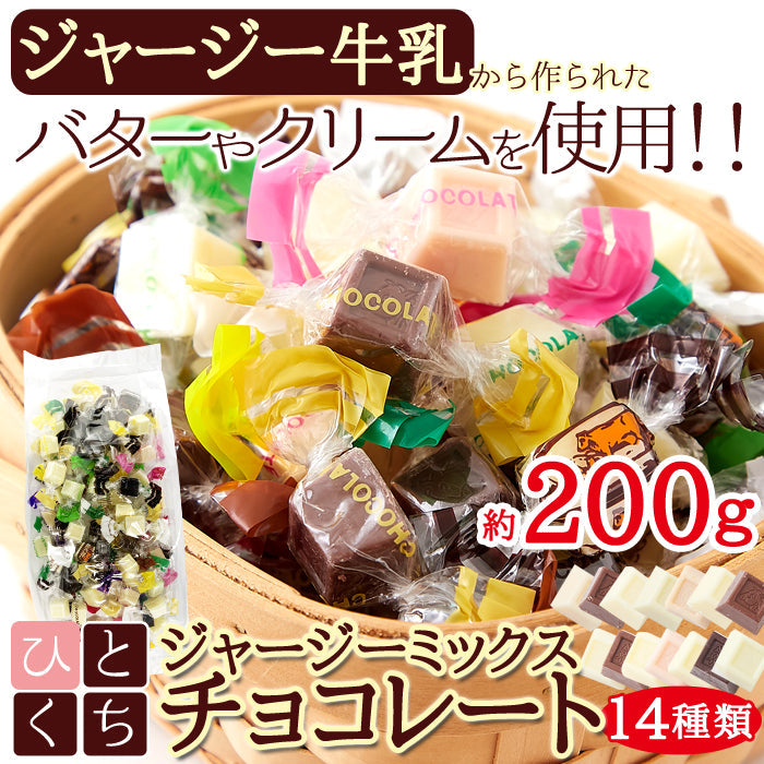 ジャージーミックスひとくちチョコレート200g /ネコポス送料無料