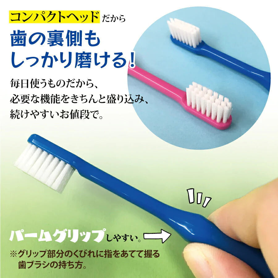 Ci スマート M（ふつう）10本セット【Ciメディカル 歯ブラシ】【メール便送料無料】