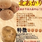 岩手県産 じゃがいも 10kg 無農薬栽培 きたあかり