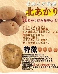 岩手県産 じゃがいも 10kg 無農薬栽培 きたあかり
