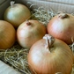 〈国産〉北海道産 大玉玉ねぎ(約1.5kg/5玉)