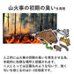 【1回で約2か月有効】害獣 害虫 忌避剤 害獣駆除剤 撃退 動物よけ 1kg / イノシシ タヌキ イヌ ネコ など / 天然強力忌避剤 逃げまんねん 小石タイプ