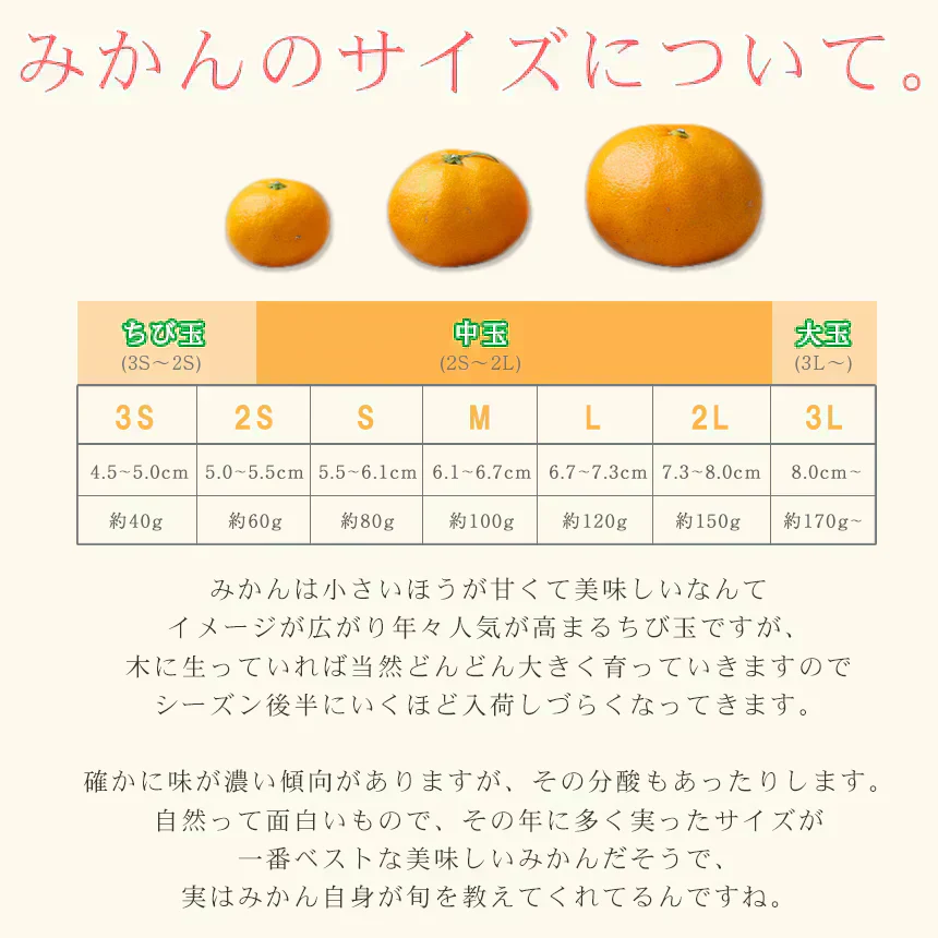 みかん　吉田みかん　５ｋｇ　ｆ吉０５　家庭用　M～2L　愛媛　吉田　果物　フルーツ　柑橘　ミカン　蜜柑　　訳あり　送料無料