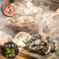 カキ 牡蠣 缶焼き かき 3kg（殻付き 約32〜42個） 冷凍牡蠣 セット まとめ買い カンカン焼き かんかん焼き 海鮮 美味しい 海鮮セット 食べ物 お取り寄せグルメ 冷凍 軍手 ナイフ付き［送料無料］ 母の日 プレゼント ギフト  母の日思いの 健康 実用的 父の日 子供 孫
