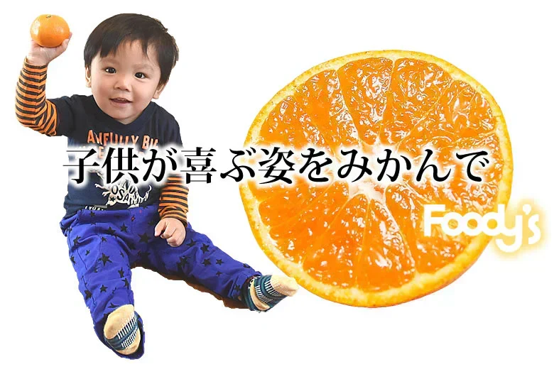 【10月上旬～中旬頃より順次出荷】みかん 5kg 送料無料 訳あり 箱込（内容量4kg＋補償分500g) 無選別 熊本みかん 極早生みかん 早生みかん 温州みかん蜜柑 ミカン