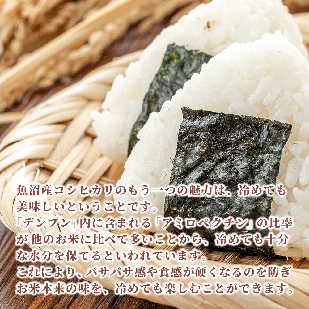 【白米】魚沼産 コシヒカリ 150kg(5kg×30袋) 精白米 国産 国産コシヒカリ100％ 送料無料 精米工場からの直送品