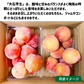 和歌山県産 すもも 大石早生 約1kg (約500g×2パック ) 2Lサイズ以上 2L 3L プラム スモモ