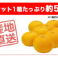 甘夏 5kg みかん 蜜柑 ご家庭用 箱買い サイズミックス あまなつ 柑橘 フルーツ 果物 産地直送 愛媛県産 YDF-013
