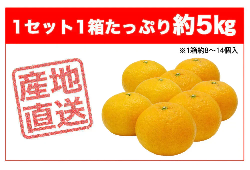 甘夏 5kg みかん 蜜柑 ご家庭用 箱買い サイズミックス あまなつ 柑橘 フルーツ 果物 産地直送 愛媛県産 YDF-013