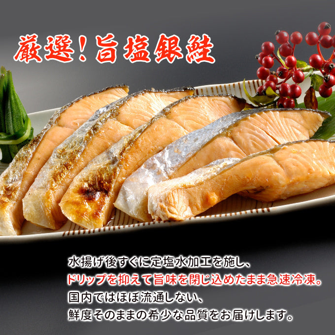 旨塩銀鮭 厚切り8切 送料無料