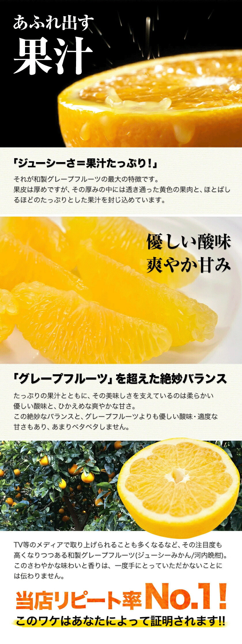 河内晩柑 5kg 送料無料 和製 グレープフルーツ フルーツ 果物 みかん 訳あり 夏文旦 晩柑 ジューシーみかん 熊本県産 《1-5営業日以内に発送予定》