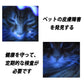 紫外線ライト　懐中電灯　365NM　高輝度　防水　26650電池使用　電池付き　ブラックライト　猫の尿検査　強力 軍用 最強 大容量 ポケットクリップ 高輝度 軽量 ハンディライト 停電 防災対策 w113