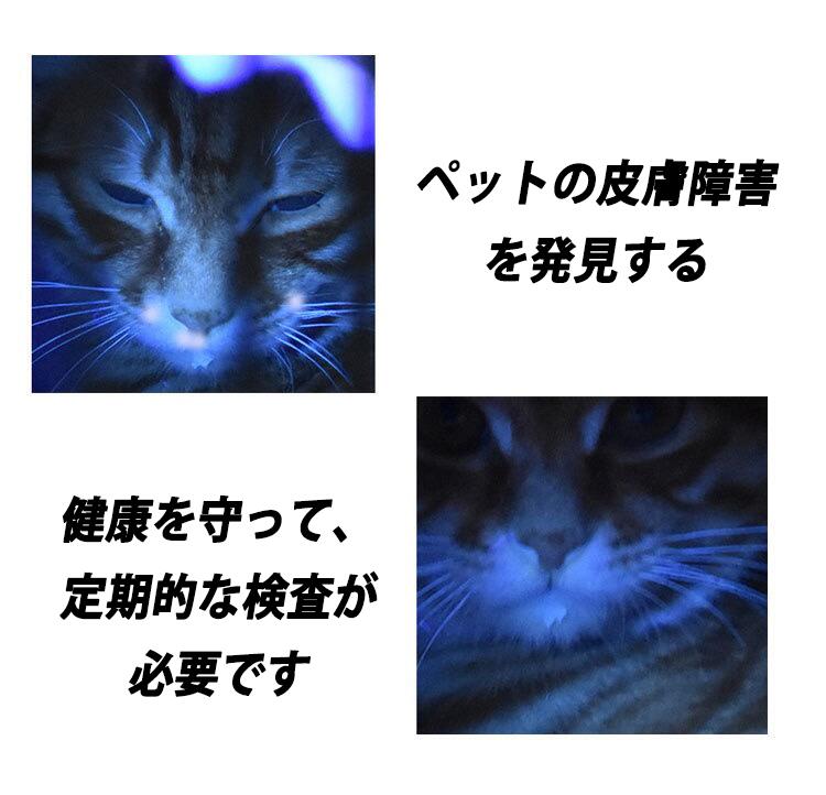 紫外線ライト　懐中電灯　365NM　高輝度　防水　26650電池使用　電池付き　ブラックライト　猫の尿検査　強力 軍用 最強 大容量 ポケットクリップ 高輝度 軽量 ハンディライト 停電 防災対策 w113