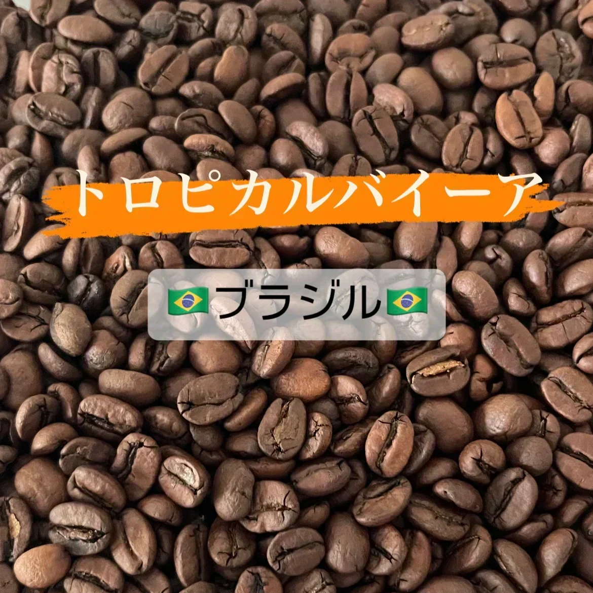 特価‼️【数量限定】「トロピカルバイーア（🇧🇷ブラジル　ナチュラル精製）」 75g 豆 送料無料