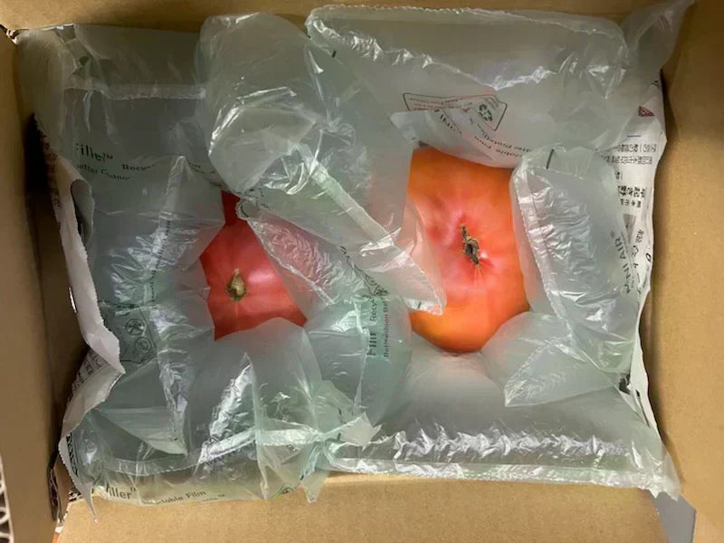 【予約販売/9月中旬〜10月中旬頃より順次発送開始予定】トマト 🍅700g 常温便配送 (トマト・ミディトマト・ミニトマトなど種類は出品者おまかせ) 60サイズ【北海道・東北・沖縄配送不可】【カウシェファーム収穫対象商品】