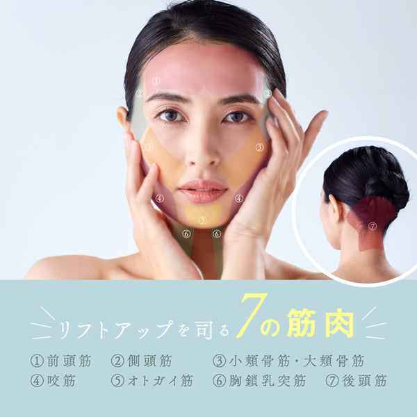 WAVEWAVE スカルプブラシプレミアム/EMS(低周波)で頭筋を刺激・RFラジオ波でリフトケア アタッチメントを変えるだけで頭皮と顔のトータルケア 美顔器
