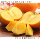 【11月上旬-下旬頃ご注文受付順次】庄内柿 7.5kg（M-3L玉 28-40玉前後）手付き化粧箱詰め 種なし柿 かき カキ 柿 贈答 ギフト