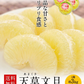 【熊本コレクション】天草文旦 パール柑 ギフト 約3kg前後 送料無料 4L-3L / 5-6玉入 贈答用 御年賀 寒中見舞い 果物 フルーツ 12月上旬-12月末頃より発送予定