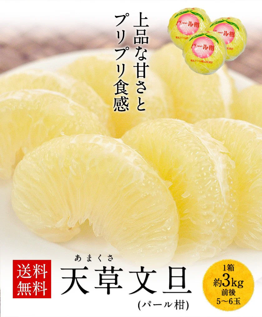 【熊本コレクション】天草文旦 パール柑 ギフト 約3kg前後 送料無料 4L-3L / 5-6玉入 贈答用 御年賀 寒中見舞い 果物 フルーツ 12月上旬-12月末頃より発送予定