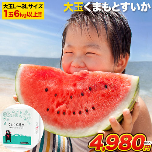 大玉 すいか  6kg以上 熊本県産 【6月中旬-7月上旬より出荷予定】 送料無料 スイカ 訳あり ジャンボスイカ   熊本 旬 の 果物 夏 キャンプ 家庭用 自家用 フルーツ 果物 甘い
