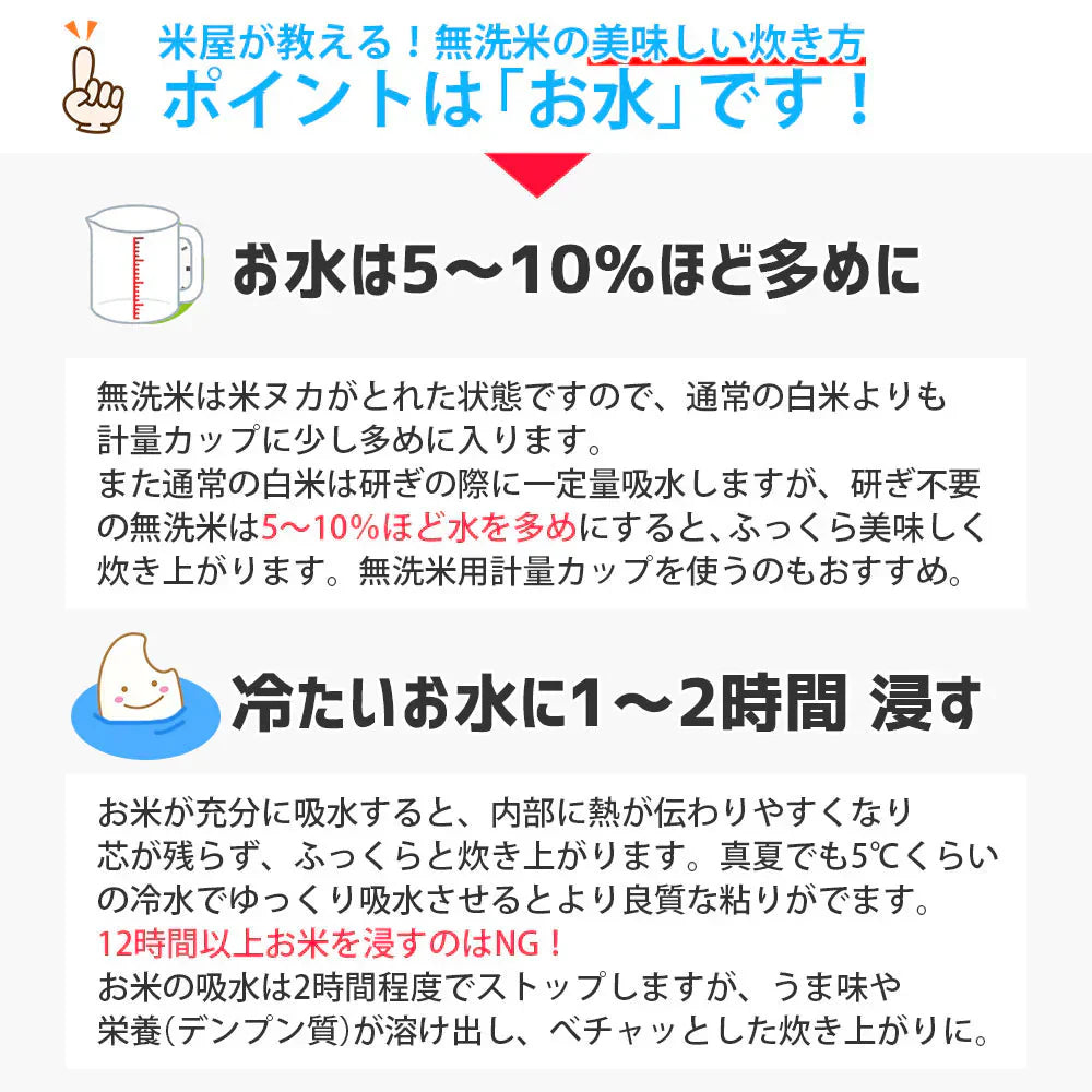 無洗米 10kg (5kg×2袋) こつぶ姫 国内産 送料無料 無洗米10キロ こめ コメ お米 精米 新米 お米10kg お米10キロ