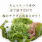【在庫処分特価】4種の国産海藻サラダ50g 【賞味期限：2025年1月31日】