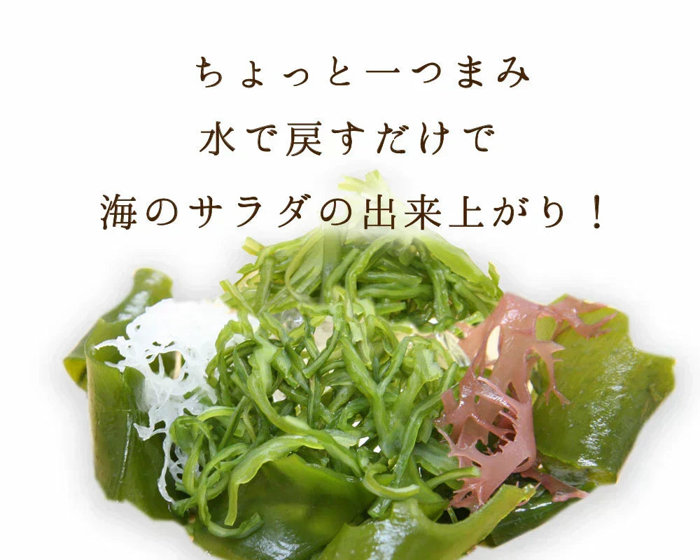 【在庫処分特価】4種の国産海藻サラダ50g 【賞味期限：2025年1月31日】