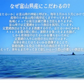 日本海産ほたるいか素干し ２５ｇ入り×２袋 メール便送料無料 丸干し するめ スルメ 魚系 おつまみ お試し いか イカ ホタルイカ素干し DM便発送 コロナ 応援 食品 訳あり お取り寄せグルメ 食品ロス 在庫処分