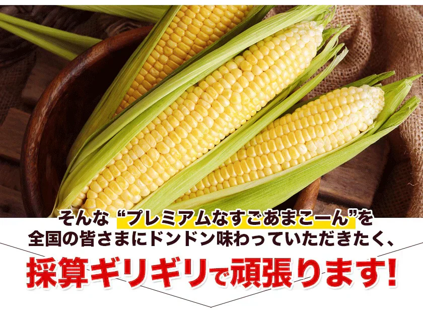 【TVで紹介】とうもろこし 卯野農場 すごあまこーん 12本入り 【3L~Lサイズ / 約3.6kg-4.8kg前後】  朝採り スイートコーン 《7-14営業日以内に発送予定（土日祝除く）》