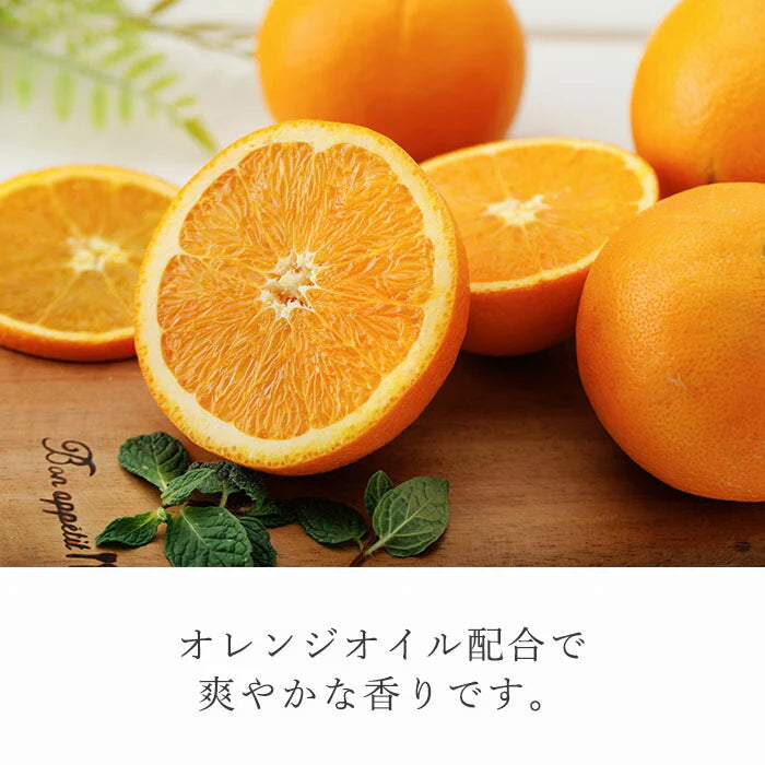 【頑固な汚れもスッキリ落とす】洗剤 クレンザー マルチクリーナー ピカクリーン 200g サビ落とし 油汚れ キッチン 水周り 水垢取り 水垢落とし 水垢クリーナー