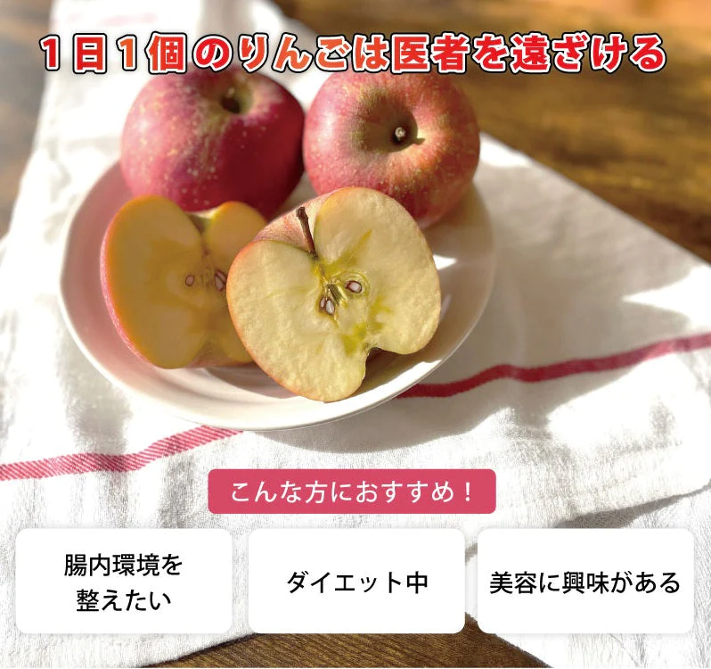 送料無料 アップルファイバー ふじ 100g 国産 青森県産 りんご ふじ 粉末 食物繊維 コレステロール 紅茶 ヨーグルト お菓子【8302】
