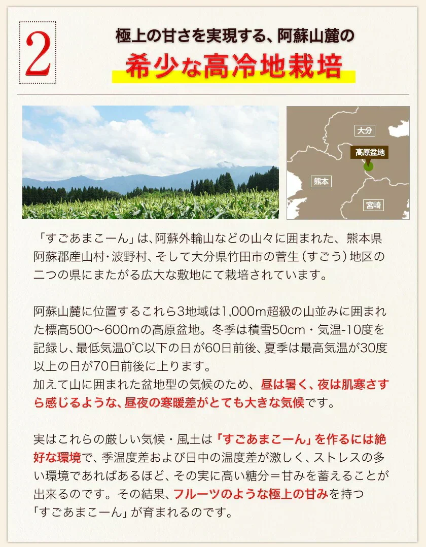【TVで紹介】とうもろこし 卯野農場 すごあまこーん 12本入り 【3L~Lサイズ / 約3.6kg-4.8kg前後】  朝採り スイートコーン 《7-14営業日以内に発送予定（土日祝除く）》