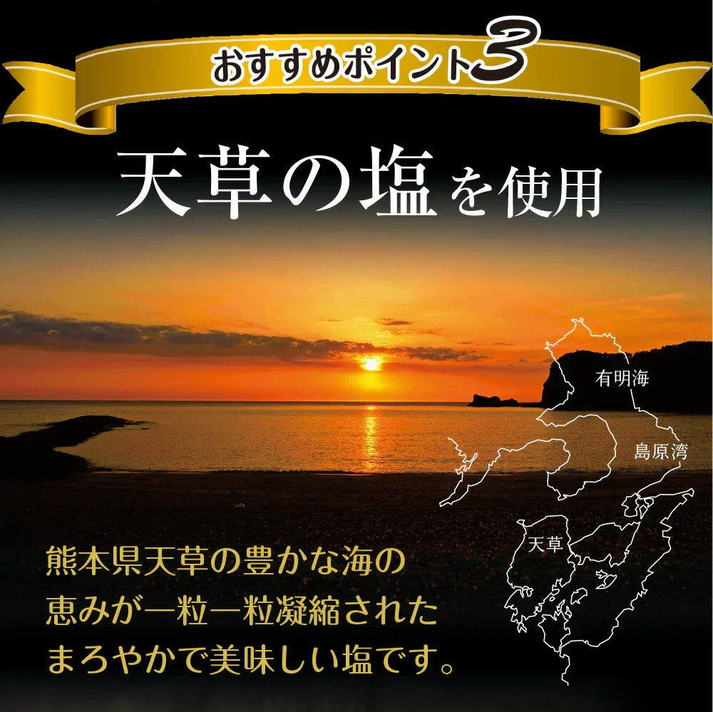 日本橋いなば園 有明海産 塩海苔 8切104枚 塩のり 味付け海苔 ネコポス メール便送料無料 塩のり 韓国のり風 味つけ海苔 味海苔 味のり 味付海苔 味付けのり 茶匠庵 有明のり 有明海苔 ご飯のお供 おにぎりのり 高級海苔 訳あり商品 葉酸 タウリン