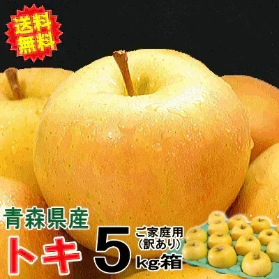10月9日～発送！青森県産 りんご トキ 5kg箱 家庭用/訳あり ★トキ 家訳 5kg箱
