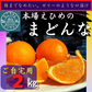 愛媛の高級柑橘　本場！愛媛のまどんな　ご自宅用　2ｋｇ(箱代込み）
