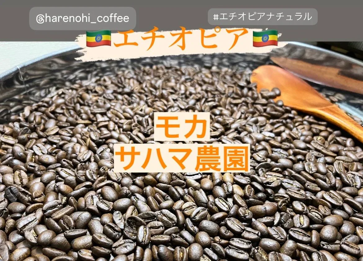 【限定１】モカ（サハマ農園）　🇪🇹エチオピア🇪🇹 ナチュラル 450g 送料無料