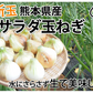 玉ねぎ サラダ玉ねぎ 5kg 送料無料 新玉 S～L 熊本県産 玉葱 たまねぎ 野菜