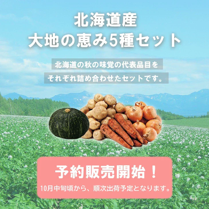 【終了】【10月中旬より順次出荷予定】北海道産 大地の恵み5種セット 9kg　男爵・キタアカリ・玉ねぎ・人参(2L～M混)/各2kg、かぼちゃ(1.5kg以上)/1個