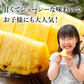 【一時休売】甘熟王ゴールドプレミアムパイン 2玉