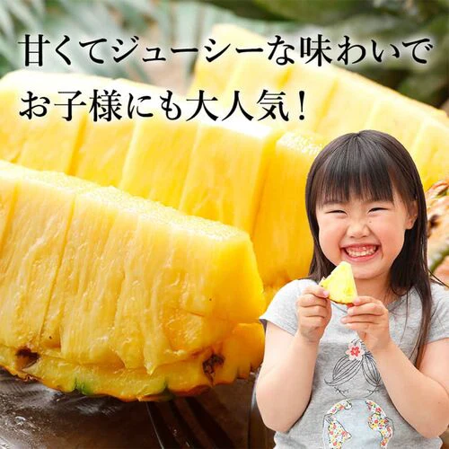 【一時休売】甘熟王ゴールドプレミアムパイン 2玉